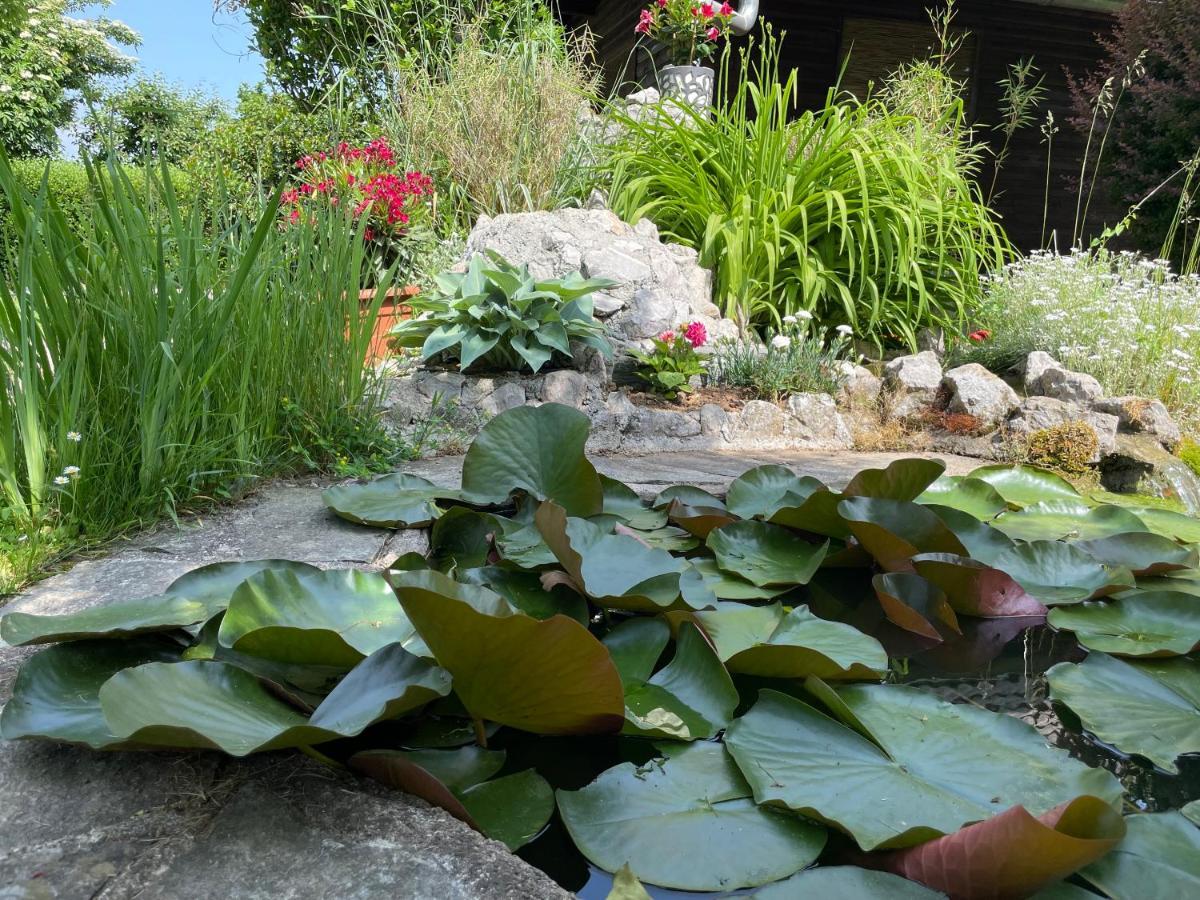 Green Oasis Garden Šenčur Bagian luar foto