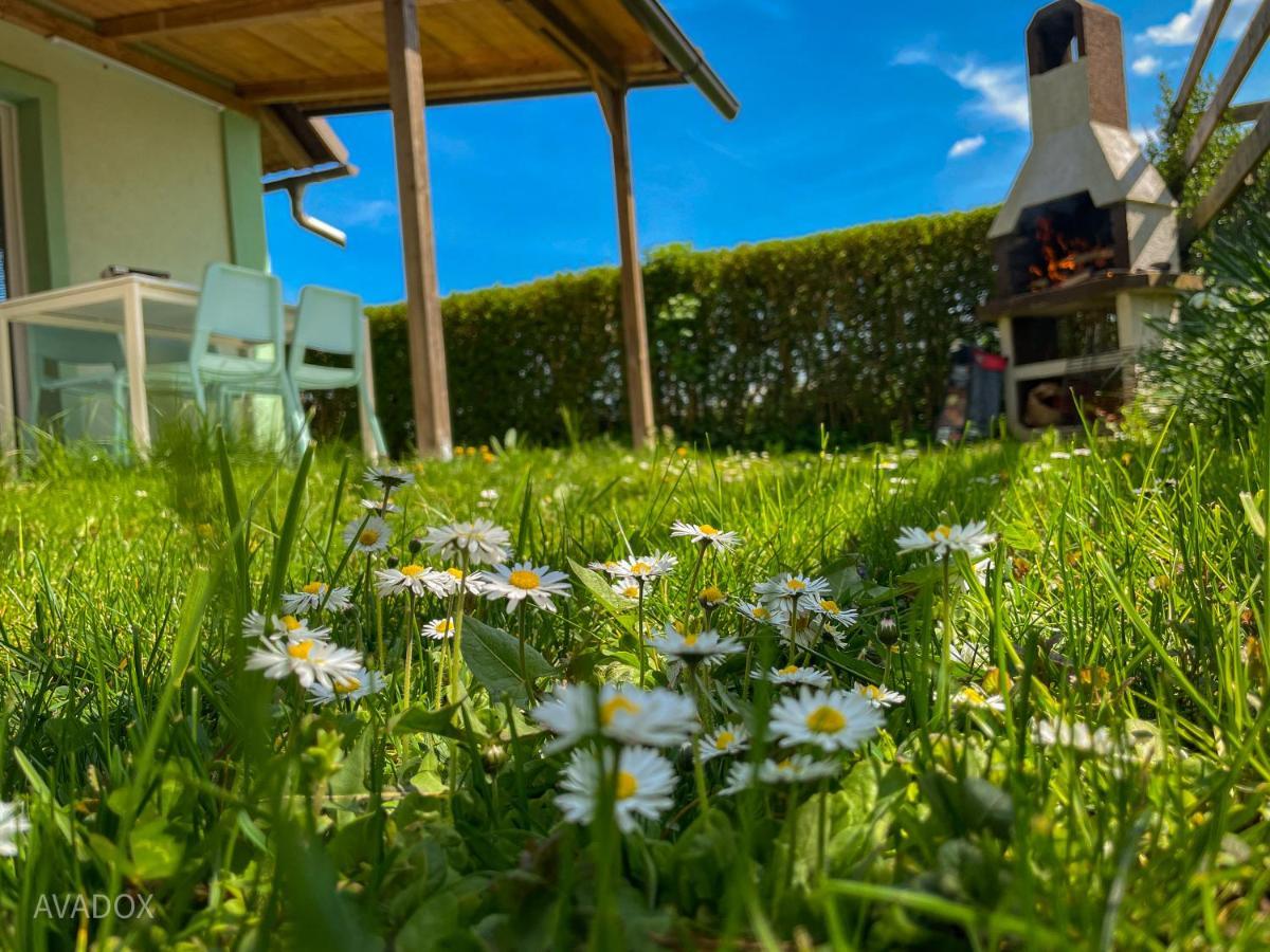 Green Oasis Garden Šenčur Bagian luar foto