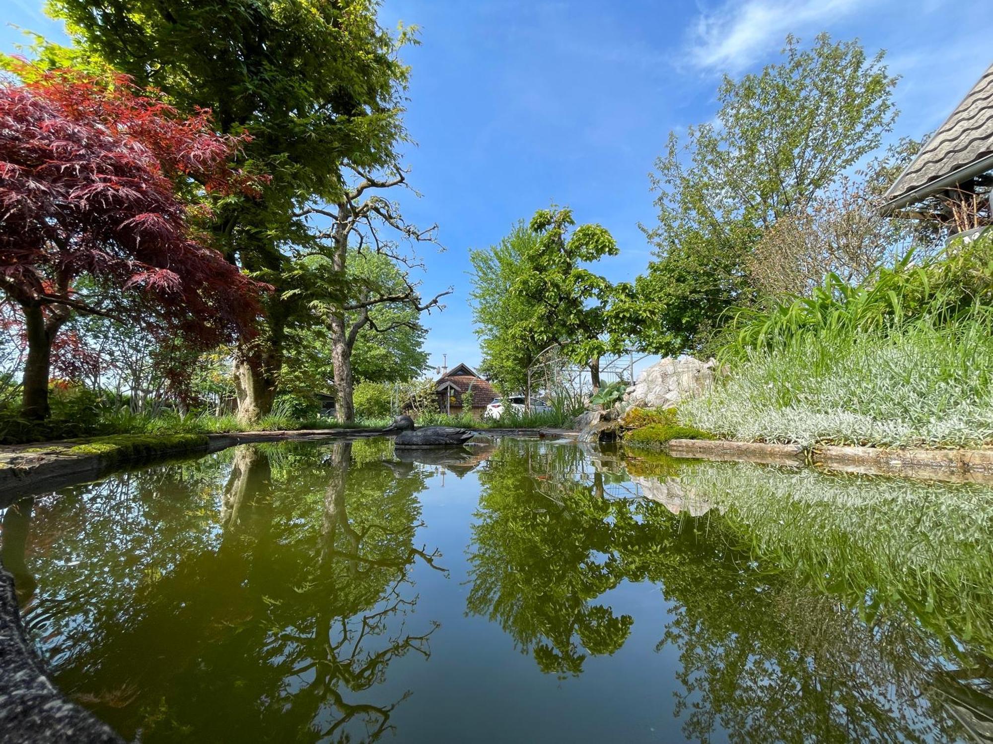 Green Oasis Garden Šenčur Bagian luar foto