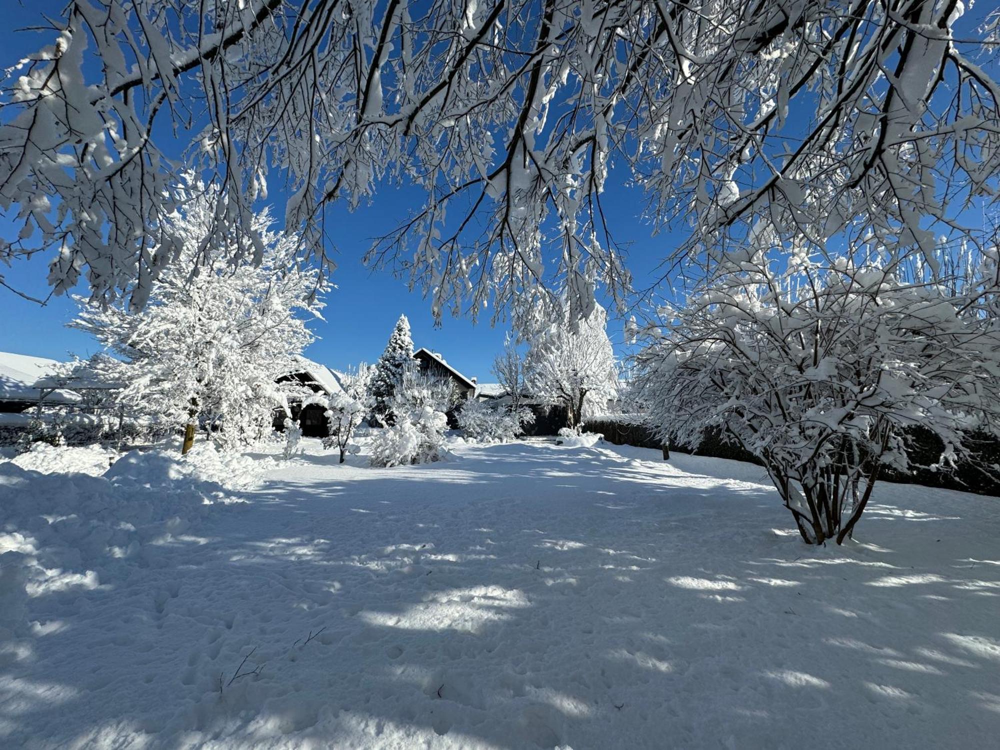 Green Oasis Garden Šenčur Bagian luar foto