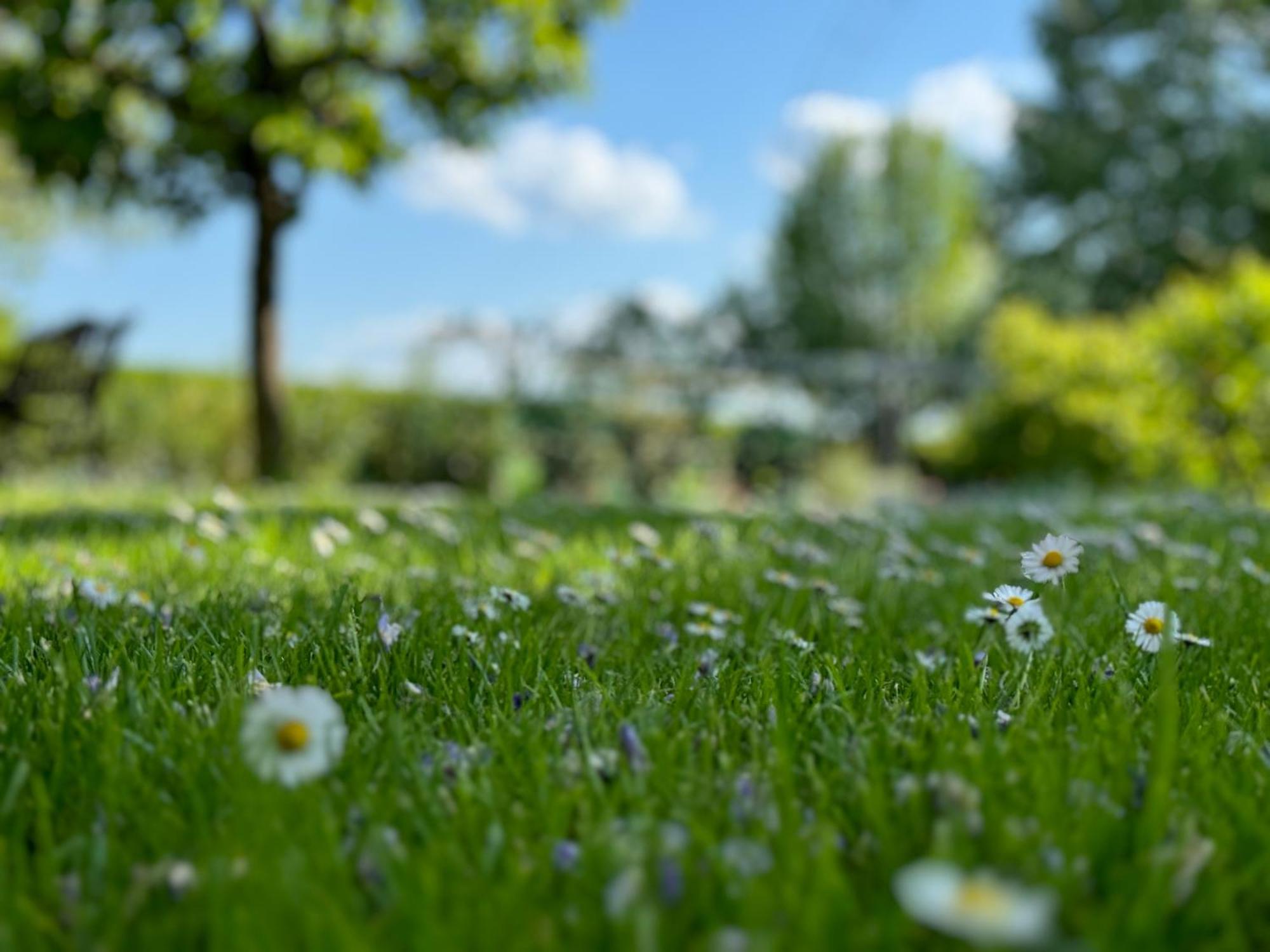 Green Oasis Garden Šenčur Bagian luar foto