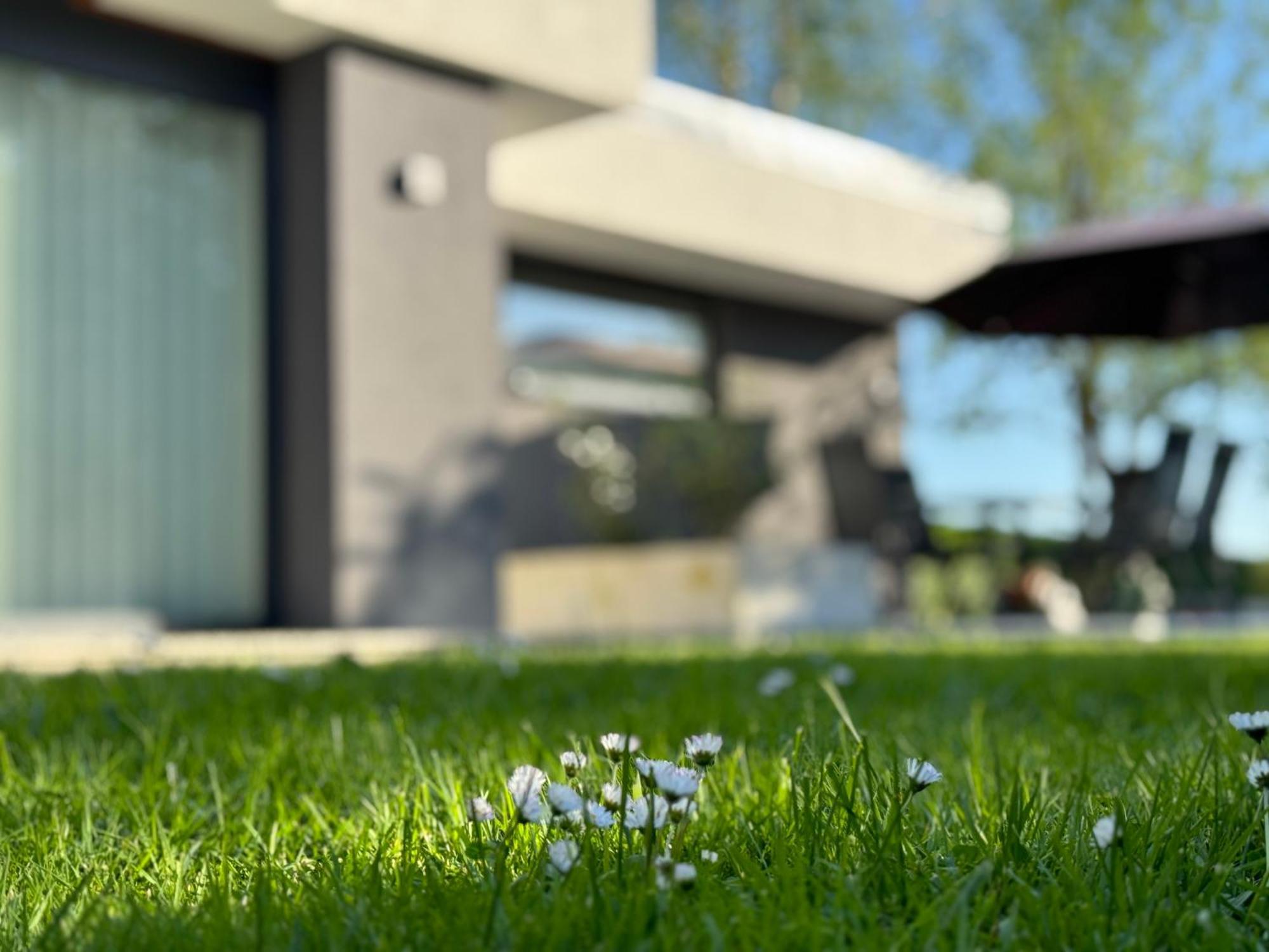 Green Oasis Garden Šenčur Bagian luar foto