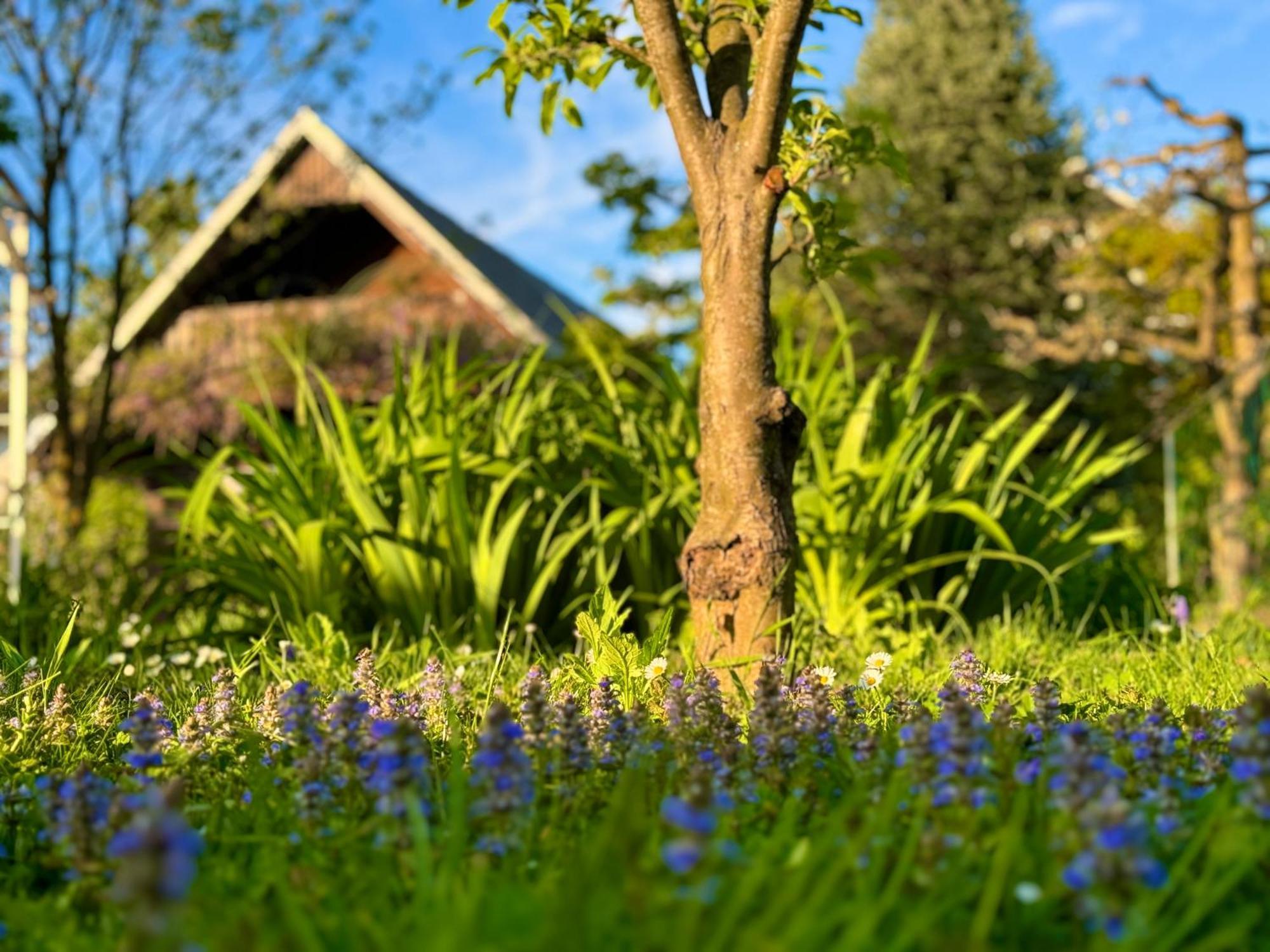 Green Oasis Garden Šenčur Bagian luar foto