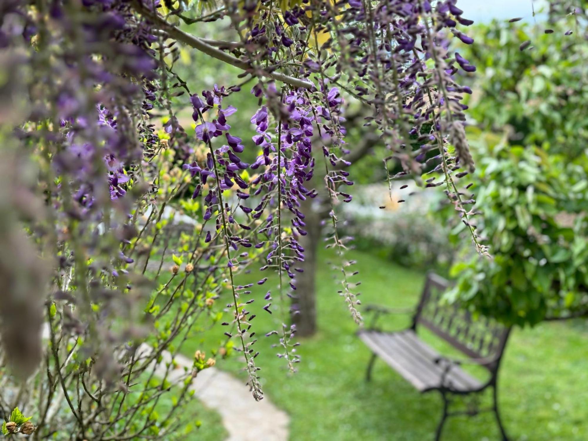 Green Oasis Garden Šenčur Bagian luar foto